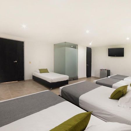 Ayenda 1236 Platinum Plaza Hotel Medellín Eksteriør billede